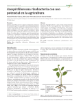 Azospirillum una rizobacteria con uso potencial en la agricultura