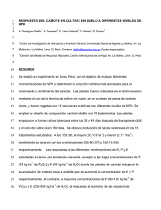 Camote en Cultivo Sin Suelo - International Potato Center