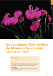Descargar el archivo PDF - Sociedad Colombiana de Orquideología