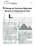 El manejo de pastizales mejorados durante la temporada de calor