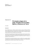 Principales Plagas de la Papa: el Gorgojo de las Andes, Epitrix y