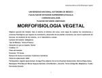 Morfofisiología Vegetal - Facultad de Estudios Superiores Iztacala