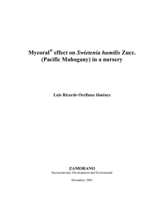 Mycoral® effect on Swietenia humilis Zucc.(Pacific Mahogany) in a
