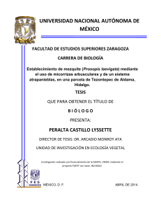 Peralta Castillo Lyssette - facultad de estudios superiores zaragoza