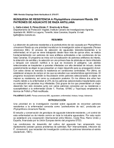 Búsqueda de resistencia a Phytophthora cinnamomi Rands. en