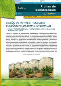 Diseño de infraestructuras ecológicas en zonas invernadas
