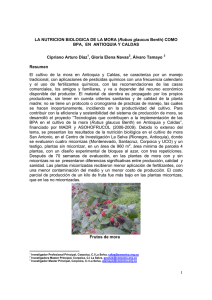 CORPOICA CIPRIANO DÍAZ_Mora