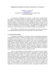 Problemática de Replantación y su manejo
