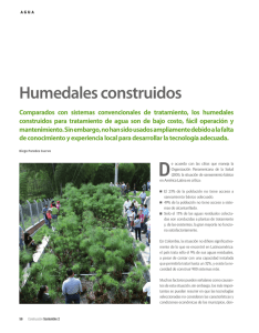 Humedales construidos