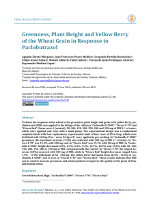 Greenness, Plant Height and Yellow Berry of the Wheat Grain in