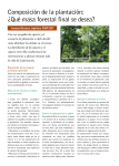 Composición de la plantación: ¿Qué masa forestal