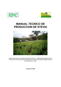 manual tecnico de produccion de stevia