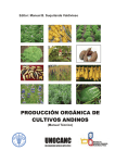 producción orgánica de cultivos andinos