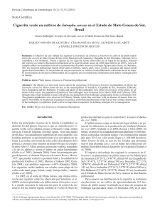 Cigarrita verde en cultivos de Jatropha curcas en el Estado de Mato