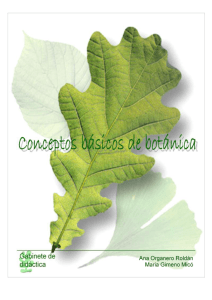 Conceptos básicos de botánica pdf
