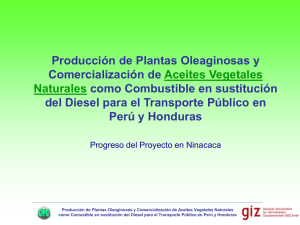 Producción de Plantas Oleaginosas y Comercialización de Aceites