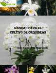 Manual para el cultivo de Orquídeas