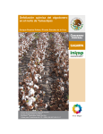 Defoliación química del algodonero en el norte de Tamaulipas