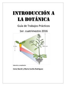 INTRODUCCIÓN A LA BOTÁNICA