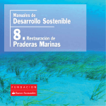 8.Restauración de praderas marinas
