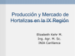 Producción, estadísticas y comercialización de Hortalizas