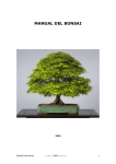 manual del bonsai - Club Peruano del Bonsai