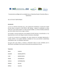 Caracterización morfológica de las variedades de yuca Colombiana