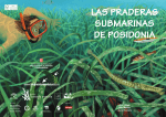 Las praderas submarinas de posidonia