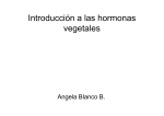Introducción a las hormonas vegetales