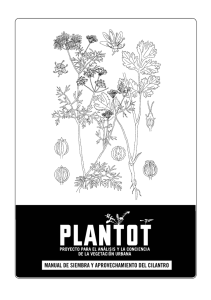 manual de siembra y aprovechamiento del cilantro