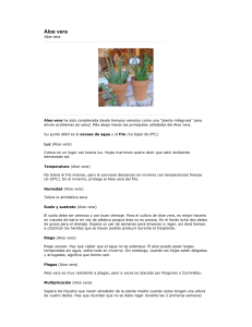 Alóe vera