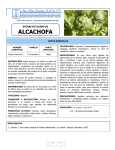 Alcachofa Hojas