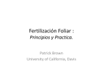 Fertilización Foliar :