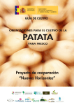 Guía del cultivo de la patata