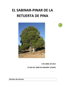 Excursión a la Retuerta de Pina