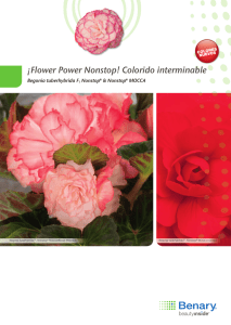 ¡Flower Power Nonstop! colorido interminable