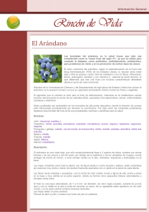 El Arandano - Rincón de Vida