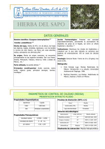 HIERBA DEL SAPO