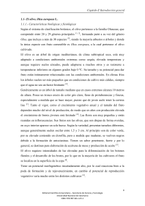 El olivo, Olea europaea L. 1.1.1. - Editorial Cientifica