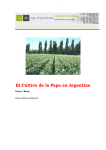 El Cultivo de la Papa en Argentina