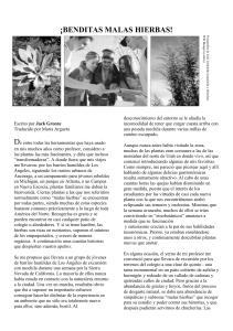 ¡benditas malas hierbas!