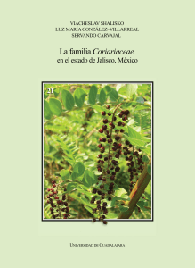 La familia Coriariaceae - Flora de Jalisco