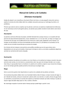 Manual de Cultivo y de Cuidados (Dionaea muscipula)