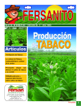 La Calidad del Tabaco - Fertilizantes Santo Domingo