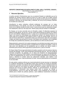 Descarga en PDF el Reporte Comunitario de Nueva Santa Flora