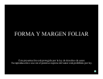 FORMA Y MARGEN FOLIAR
