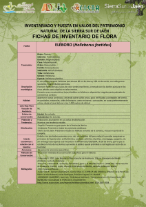 fichas de inventario de flora - Bienvenid@
