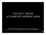 TALLOS Y HOJAS ALTAMENTE MODIFICADOS
