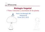 GTP_T4.Biología vegetal \(1ªParte_Estructura y crecimiento de las