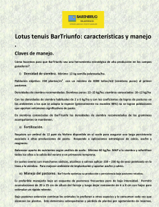 Lotus tenuis BarTriunfo: características y manejo